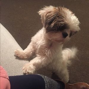 Meet your Posher, Johana